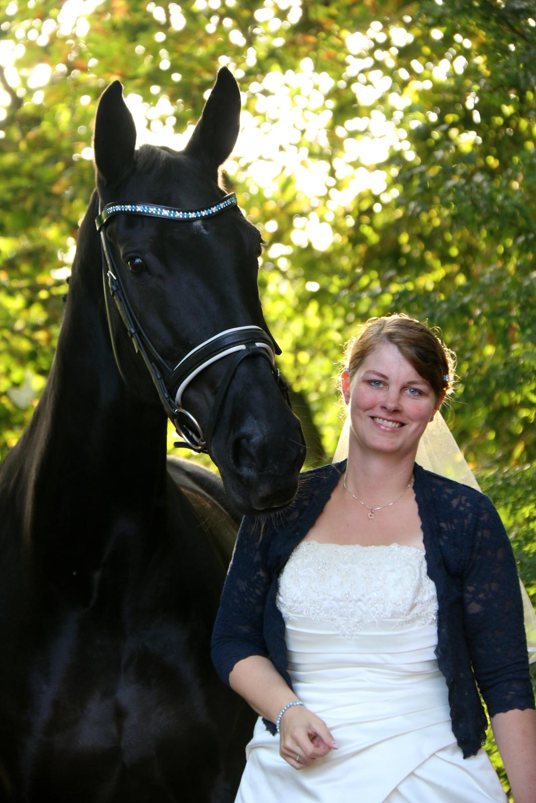 Dansk Varmblod Fruerlundens Rosita - September 2017 billede 4