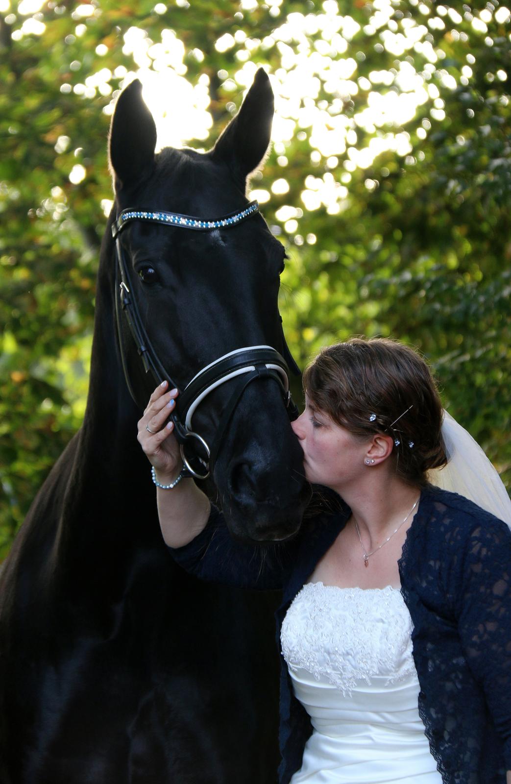 Dansk Varmblod Fruerlundens Rosita - Mit sorte guld <3 September 2017 billede 1