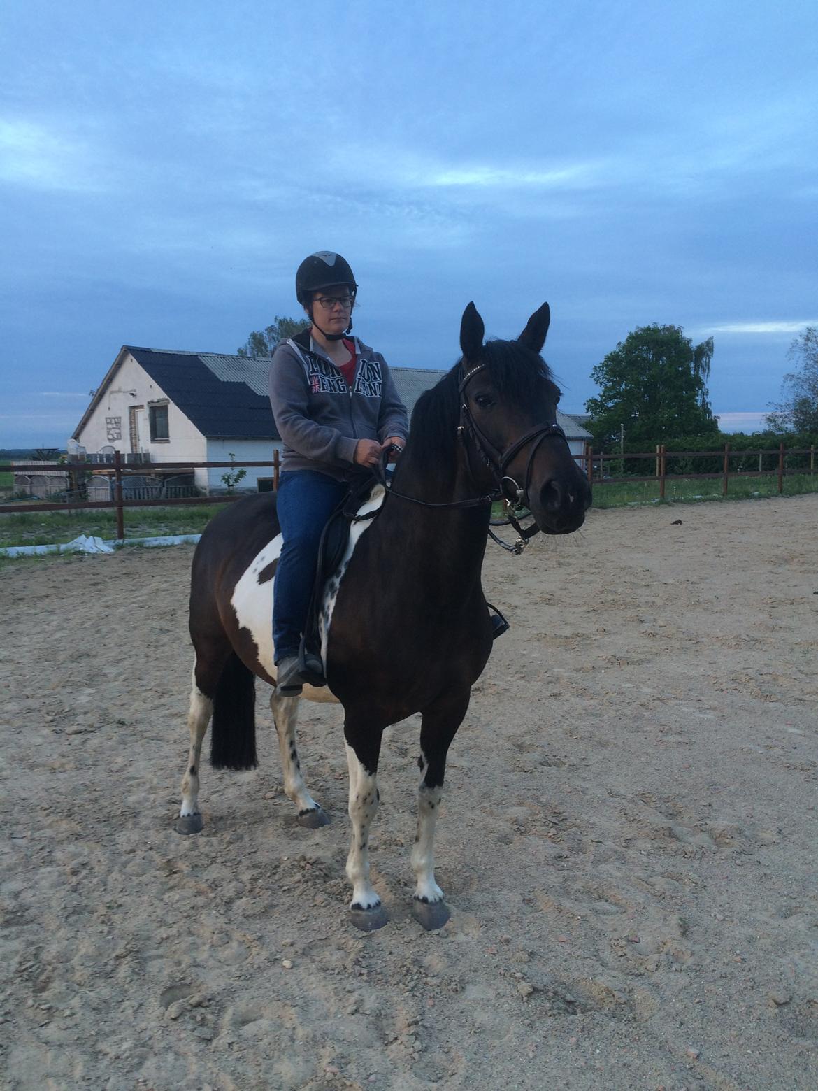 Pinto Nacoma indian - Hurra 1. Gang med rytter på banen gik helt efter bogen billede 21