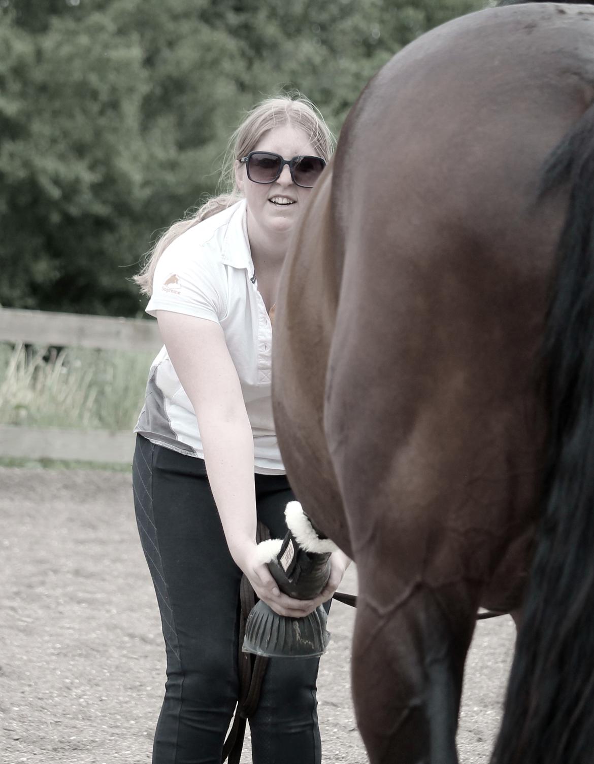 Tysk Oldenburger Sienna Bastbjerg billede 37