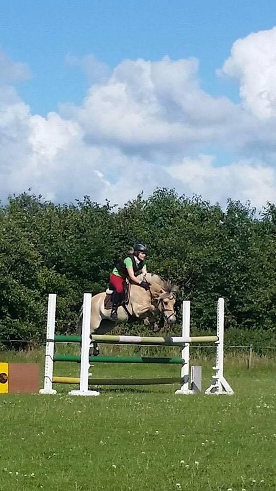 Fjordhest Monik thorsø - Monik med tidligere ejer billede 5