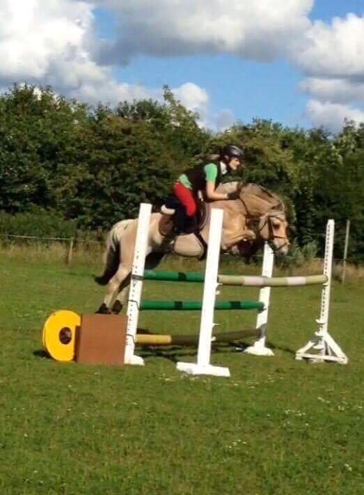 Fjordhest Monik thorsø - Monik med tidligere ejer billede 12