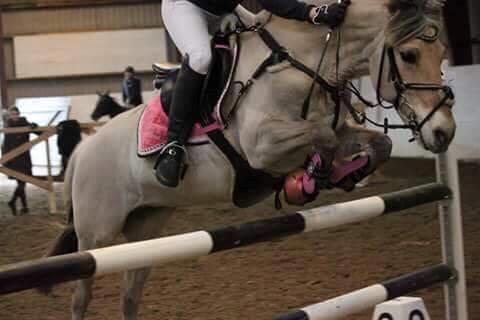 Fjordhest Monik thorsø - Sidste stævne med tidligere ejer billede 13