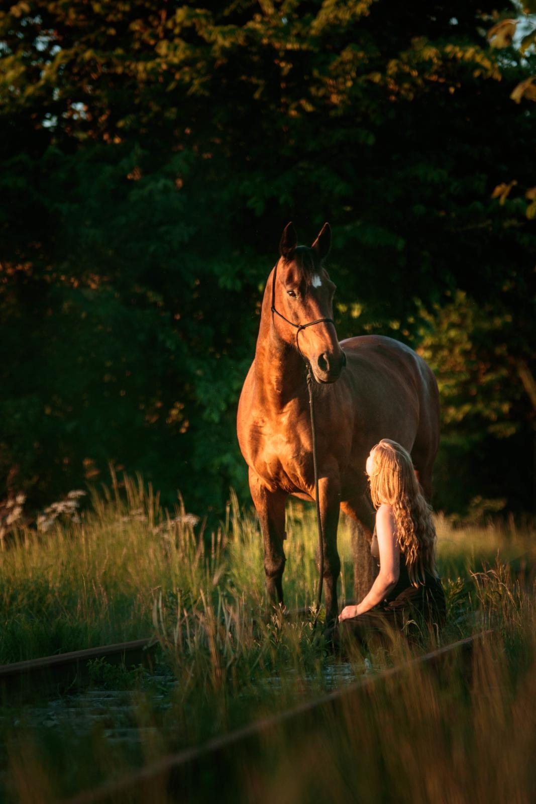 Anden særlig race Flicka <3 | Himmelhest  - Foto af Kajta Jensen Photography billede 13