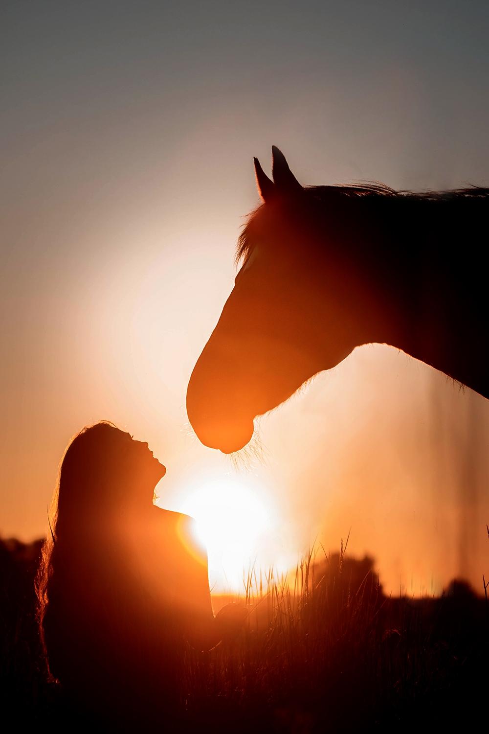 Anden særlig race Flicka <3 | Himmelhest  - Vidunderlige gammelmule. Foto af Katja Jensen Photography billede 3