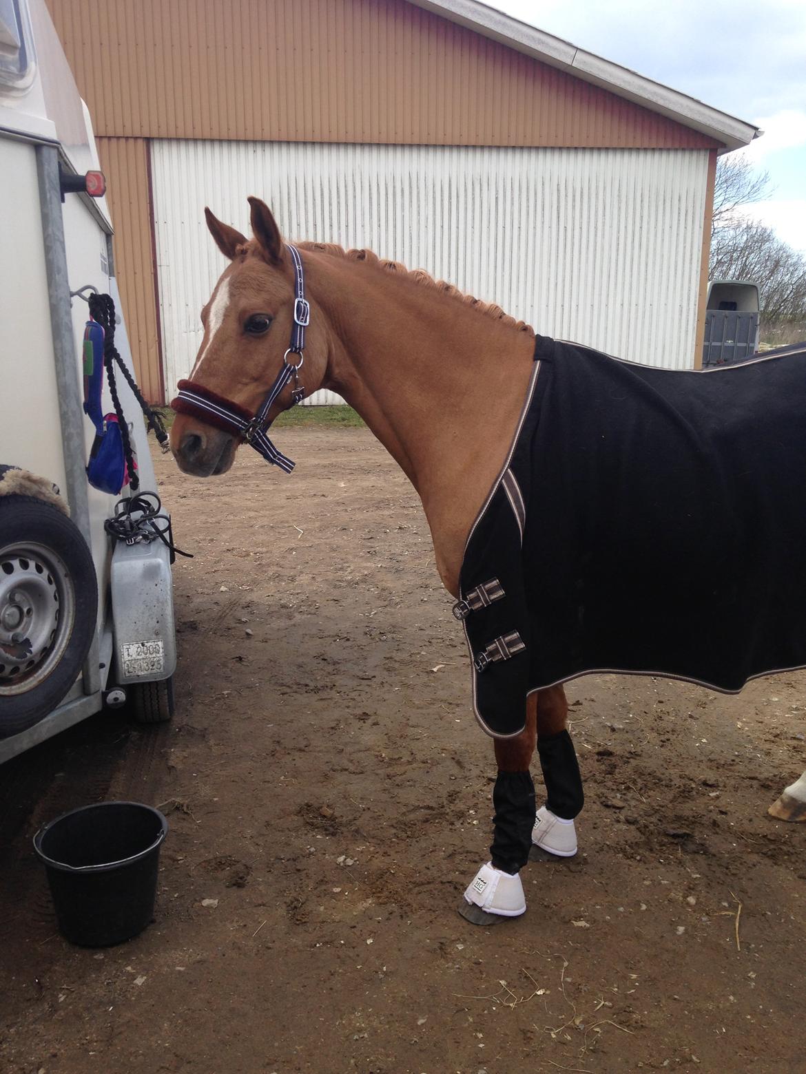 DSP Daimler billede 4