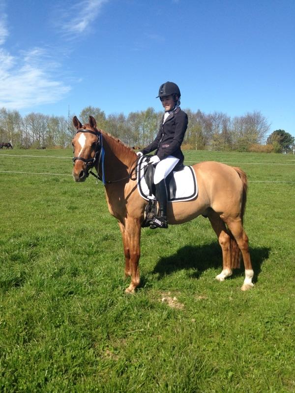 DSP Daimler billede 5