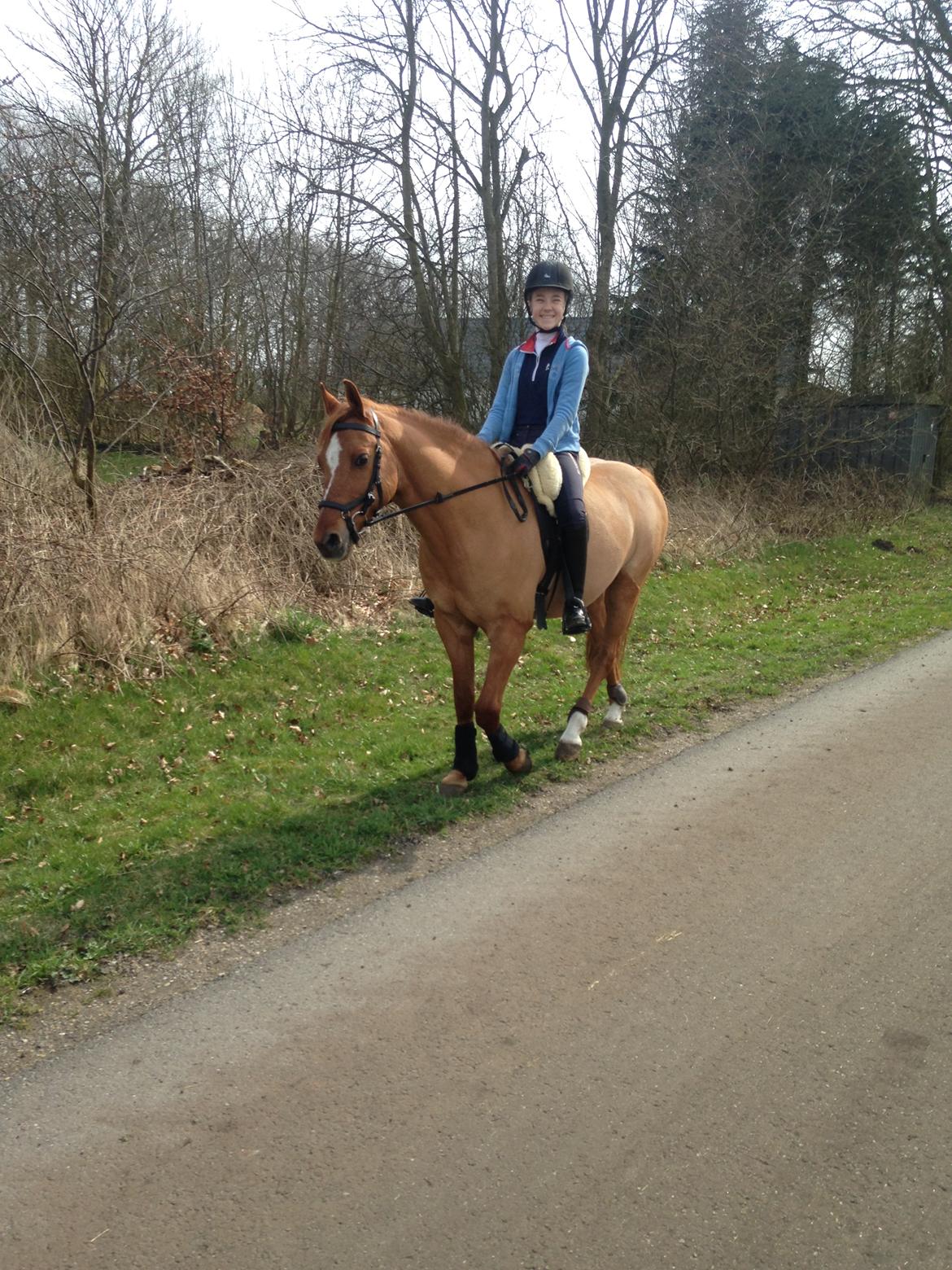 DSP Daimler billede 3