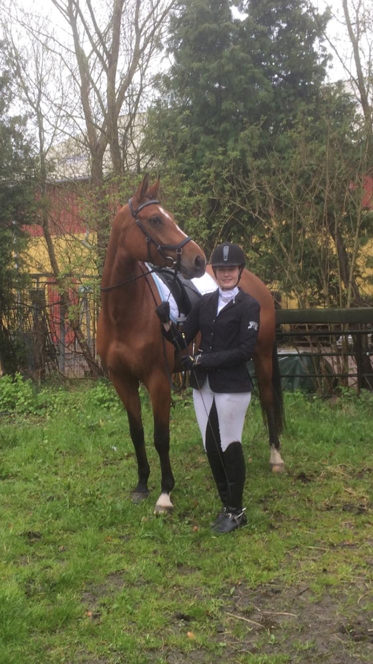 Dansk Varmblod Bjerresmindes Fiona billede 8