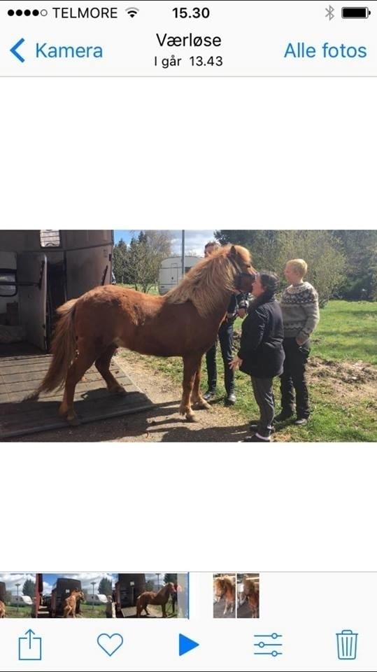 Islænder Jökull  - Da Jökull ankom billede 14