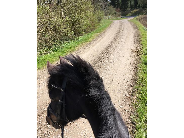 {{currentPhoto.altText}} billede {{currentPhoto.number}}