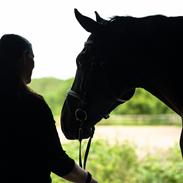 Oldenborg Solhøj's Maximus D M