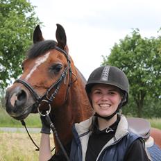 Anden særlig race Premiat (Prop)