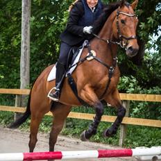 Fuldblod (XX) Parity Peas