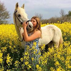 Anden særlig race Amadeus (aka Deuer)