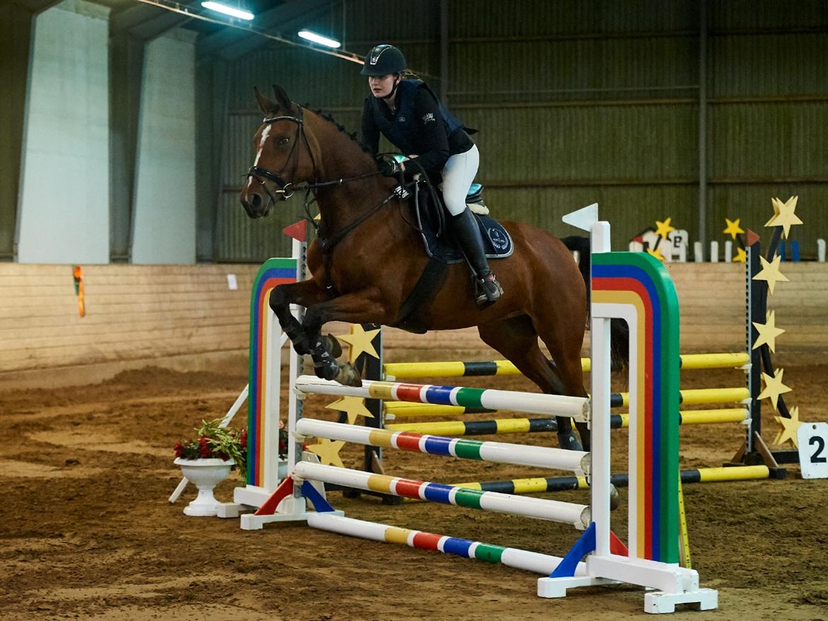 Dansk Varmblod Bjerresmindes Fiona billede 12