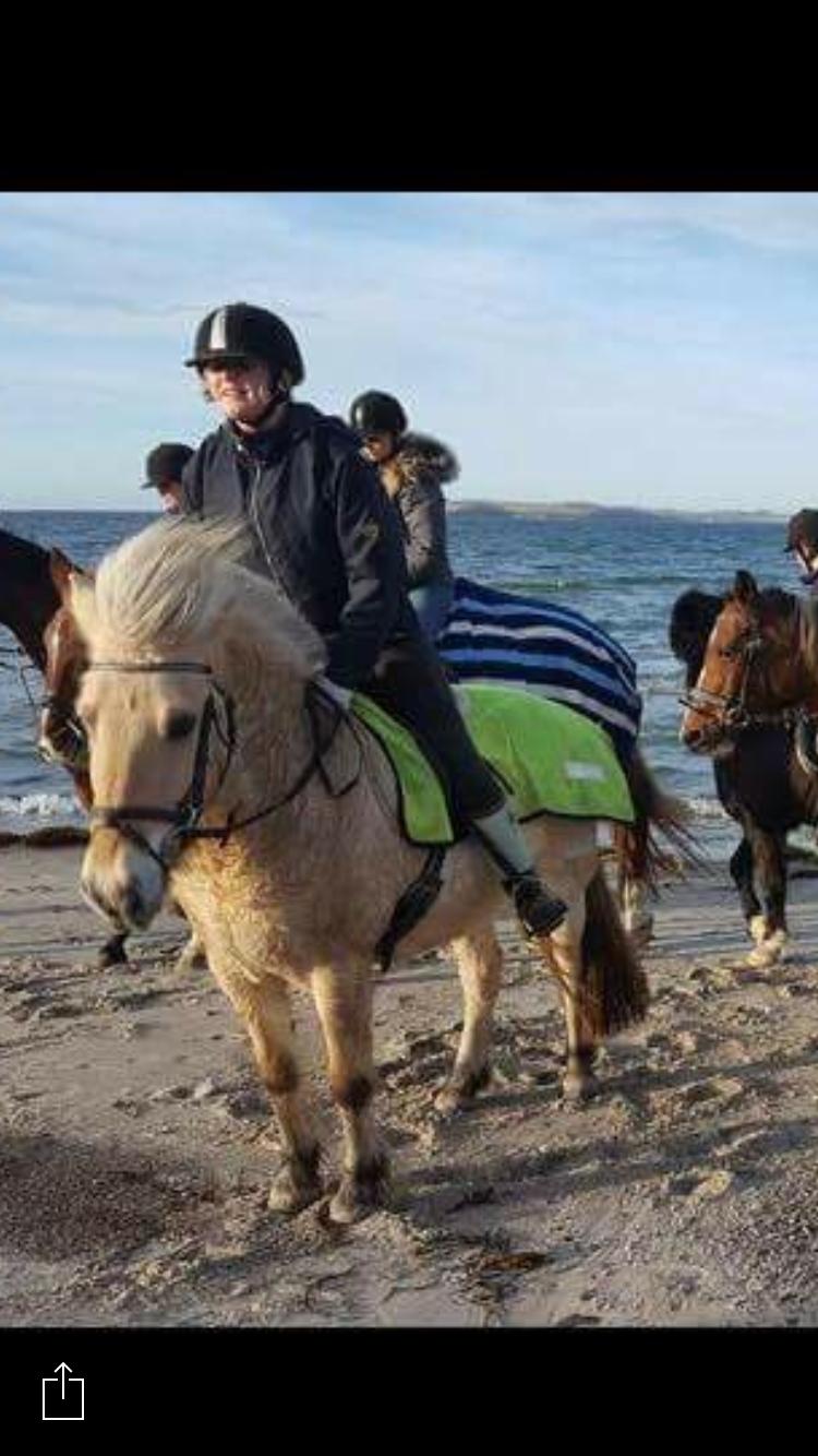 Fjordhest Fia (Lotte) - Vi var lidt vindblæste her, haha billede 3