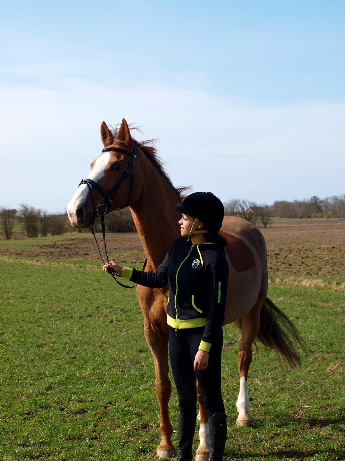 Dansk Varmblod Come cute princess billede 11