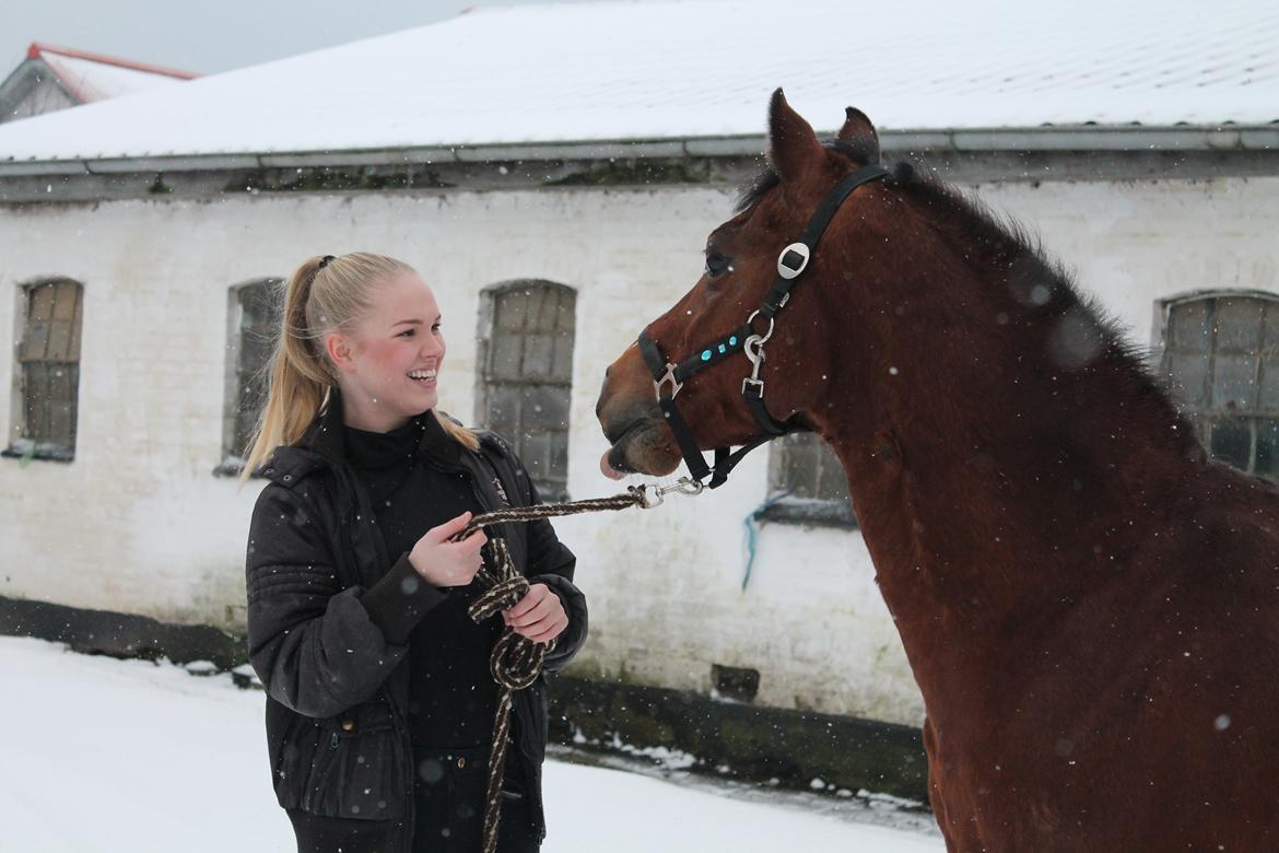 Anden særlig race Premiat (Prop) billede 11