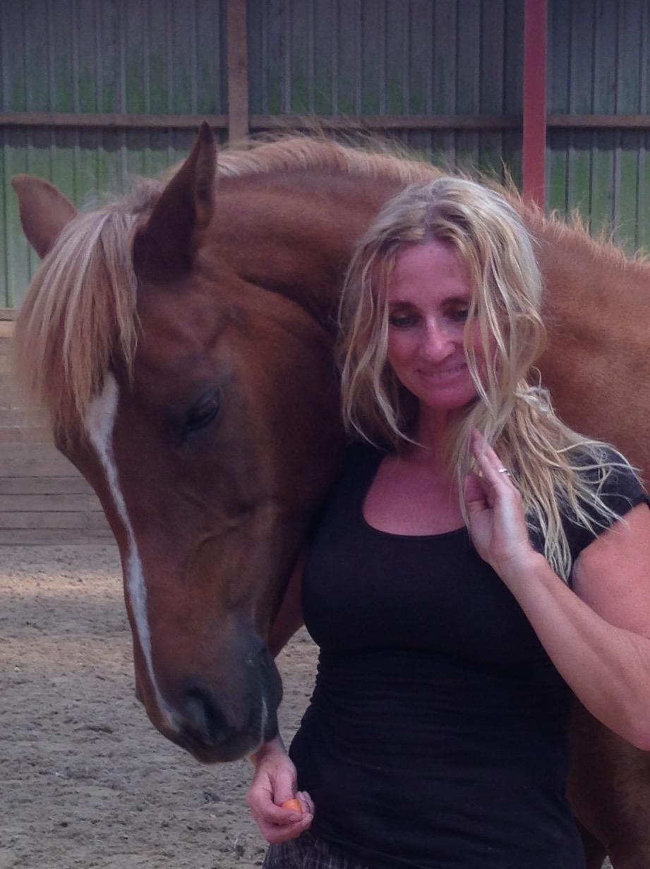 Arabisk fuldblod (OX) Zahrah hamrah el azraff ox billede 6