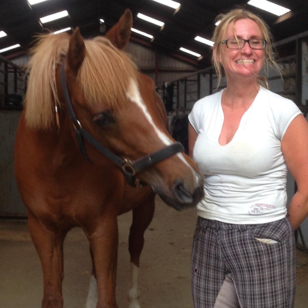 Arabisk fuldblod (OX) Zahrah hamrah el azraff ox billede 7