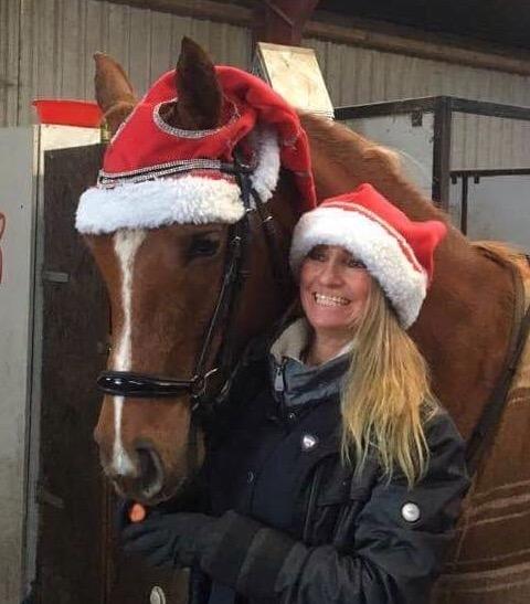 Arabisk fuldblod (OX) Zahrah hamrah el azraff ox billede 8