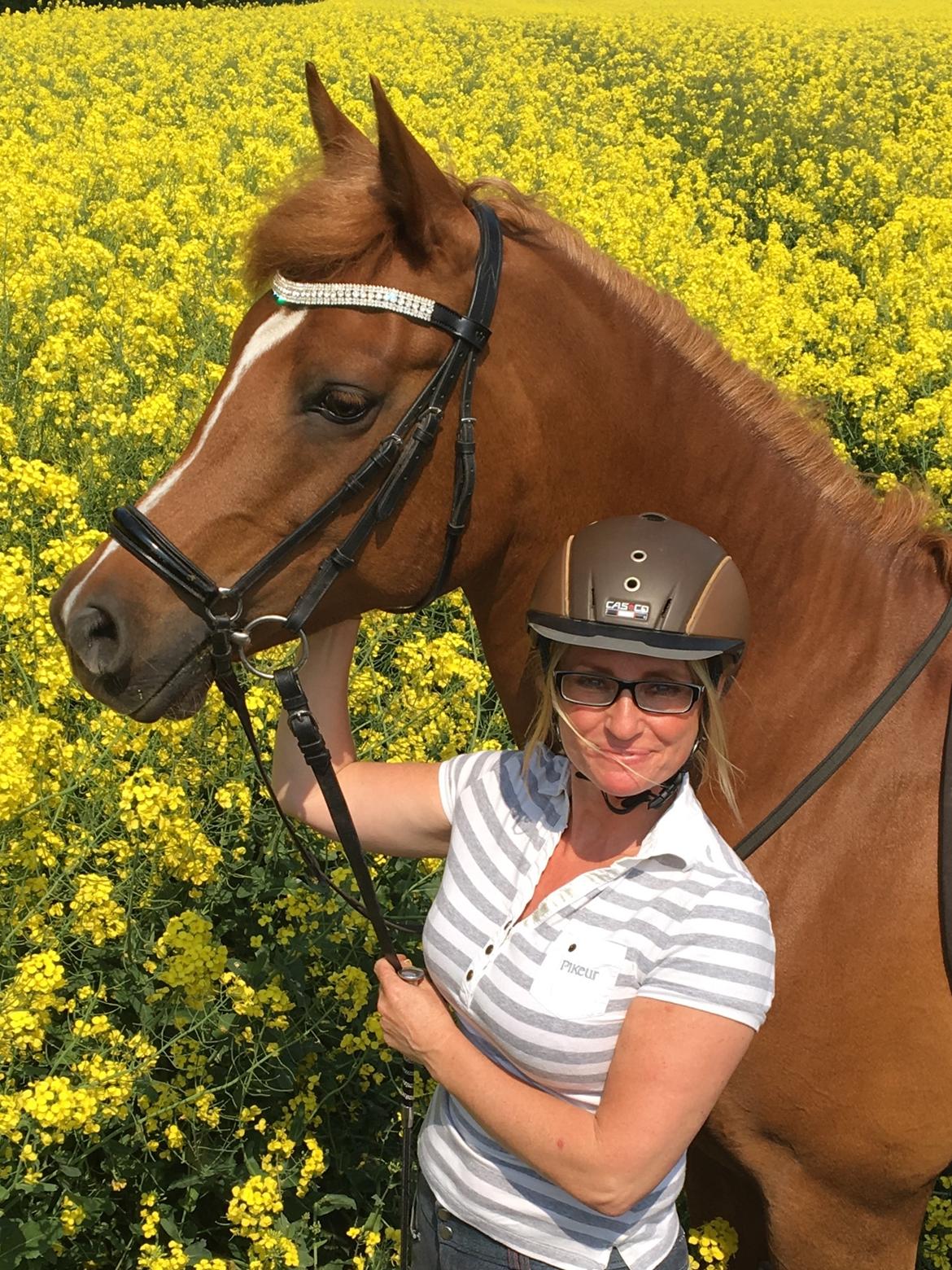 Arabisk fuldblod (OX) Zahrah hamrah el azraff ox billede 15