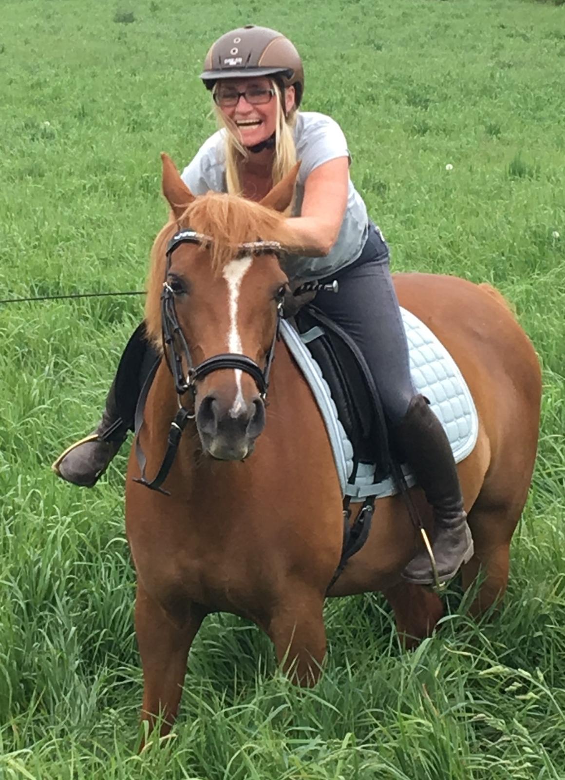 Arabisk fuldblod (OX) Zahrah hamrah el azraff ox billede 20