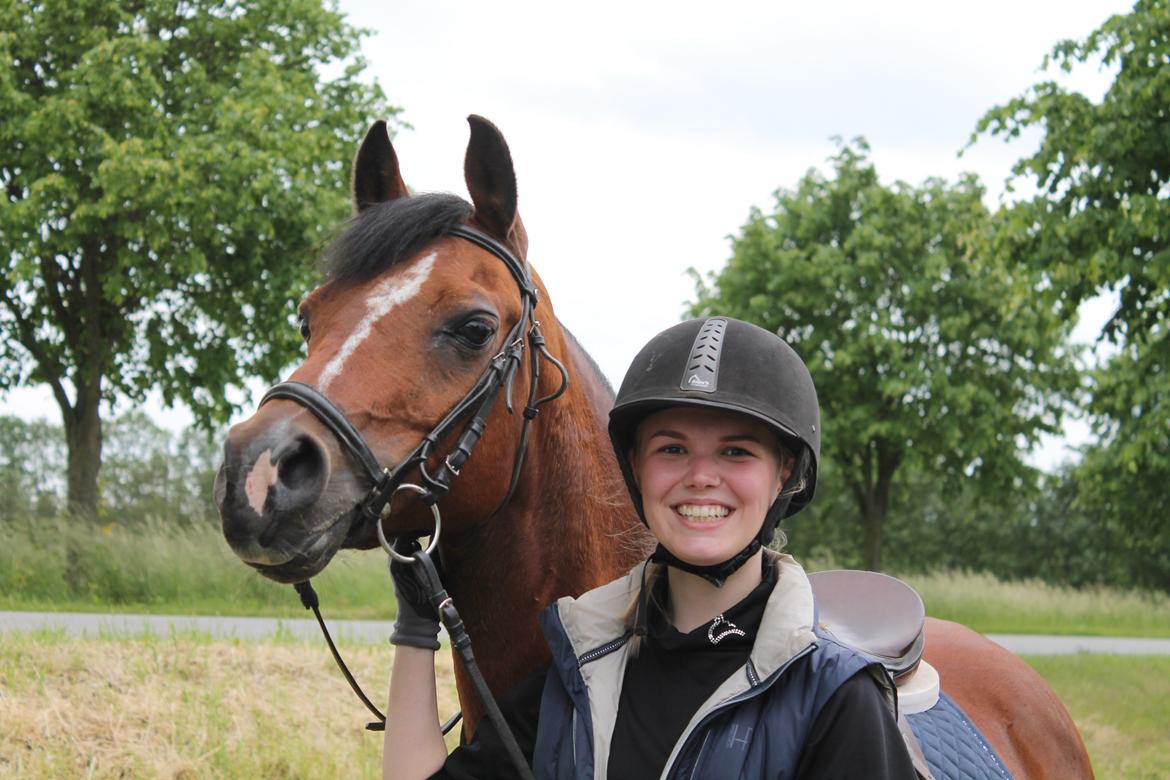 Anden særlig race Premiat (Prop) billede 3