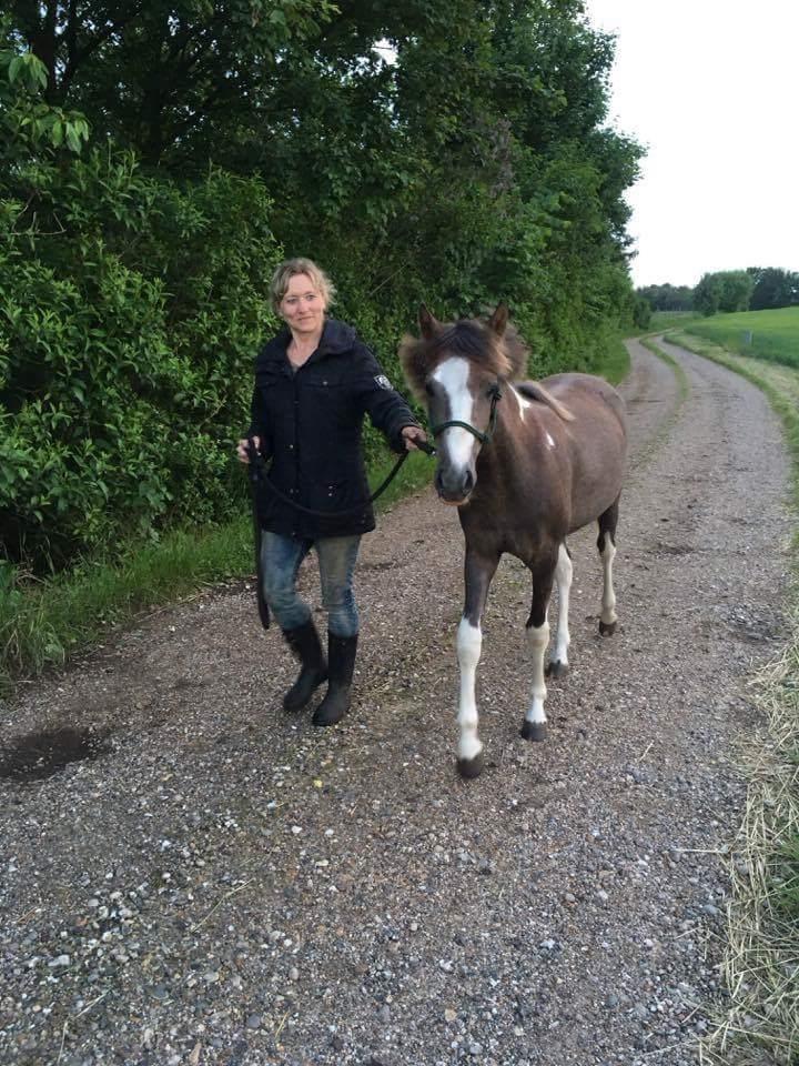 Anden særlig race Milky Slice - SOLGT - Gåtur juni 2017 - 1 år gammel 😊 billede 15