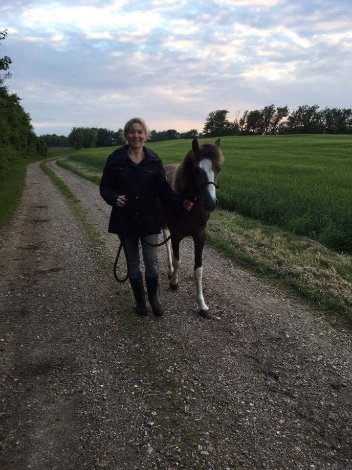 Anden særlig race Milky Slice - SOLGT billede 18