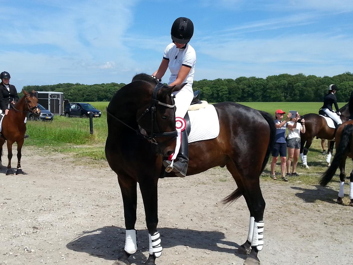 Anden særlig race Vejrholms Canto billede 6