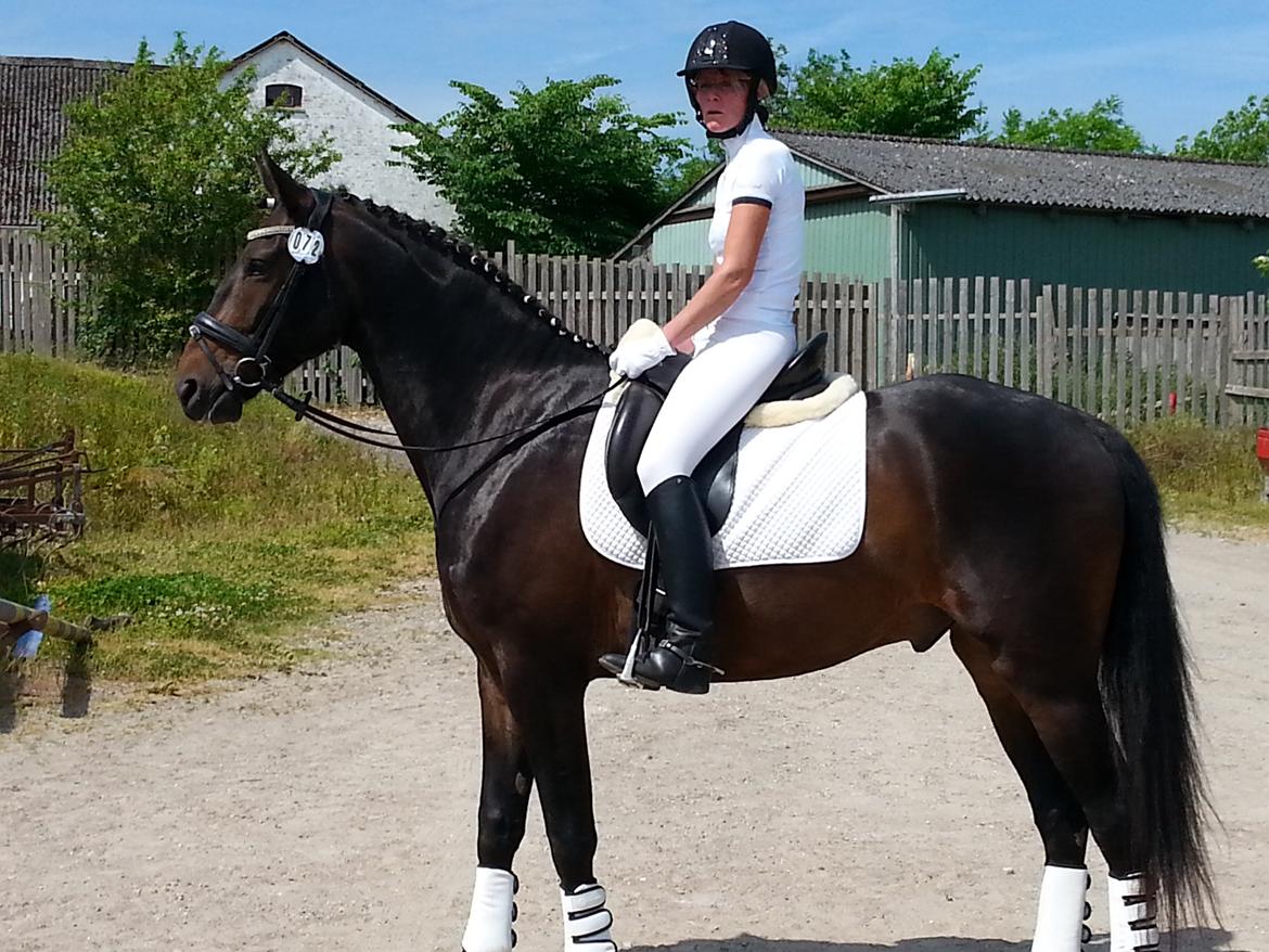 Anden særlig race Vejrholms Canto billede 2