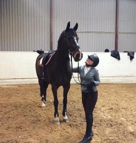 Dansk Varmblod Baronesse gersdorf billede 4