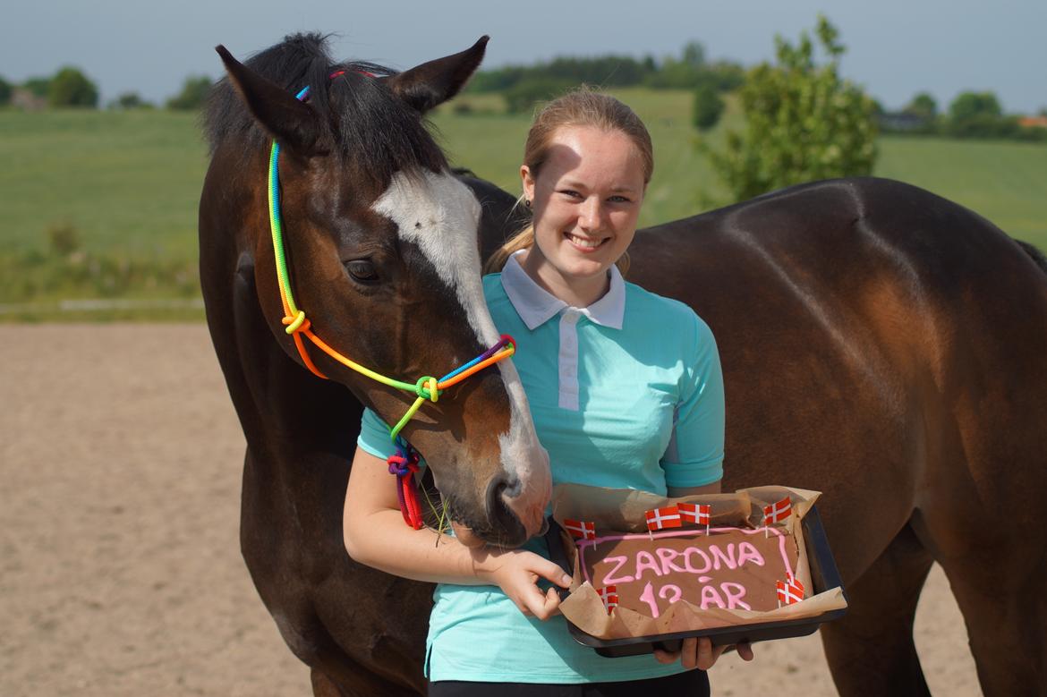 Hollandsk Varmblod Zarona R.I.P  - Happy Birthday! Zarona's 13 årig fødselsdag <3 billede 4