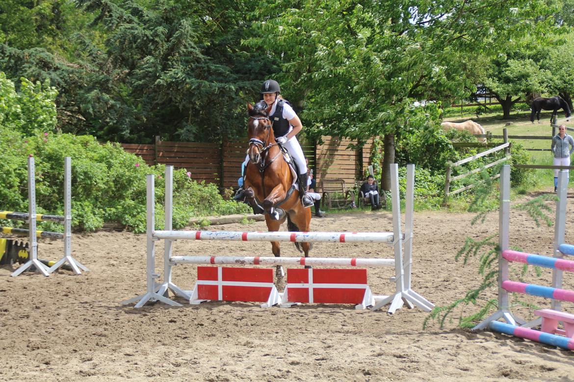 Traver Kenny U.A. - Pinsestævne d. 5 juni 2017 LD-1.plads billede 12