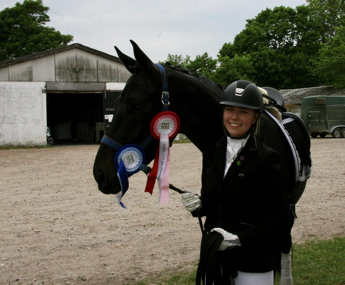 Dansk Varmblod Gørklintgårds Midé billede 8