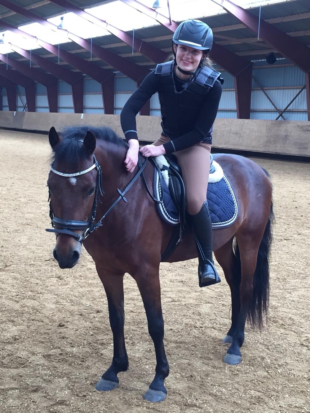 New Forest Spangsbo's Starlight billede 6