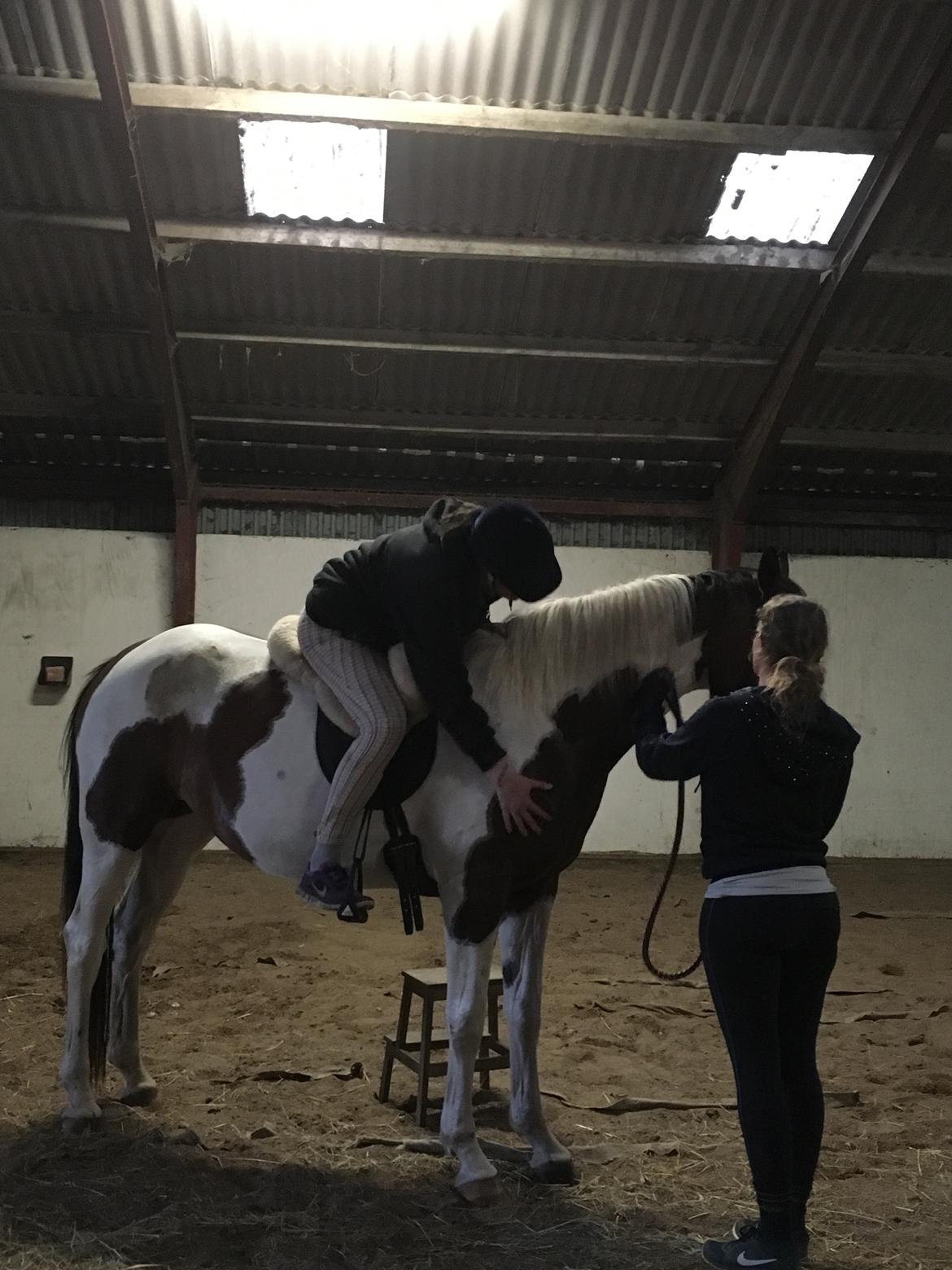 Pinto HEDENS NANGIJALA billede 19