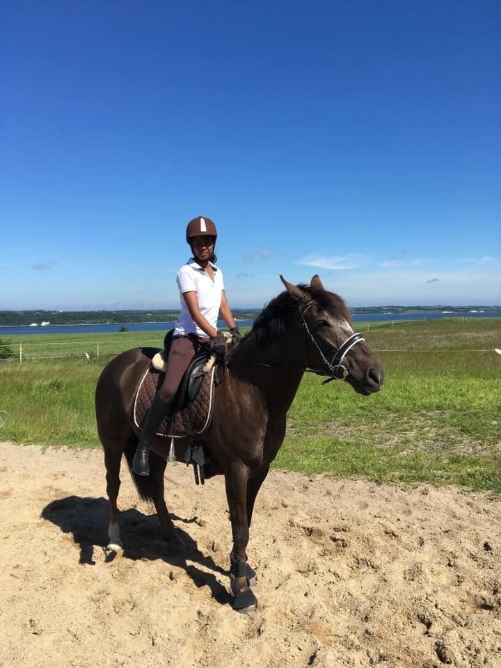 New Forest Elmholts Filicia - Smukke Filicia d. 18/6 2017 ♥ billede 2