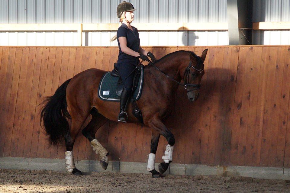 Anden særlig race Hanuzka - Passage træning billede 16