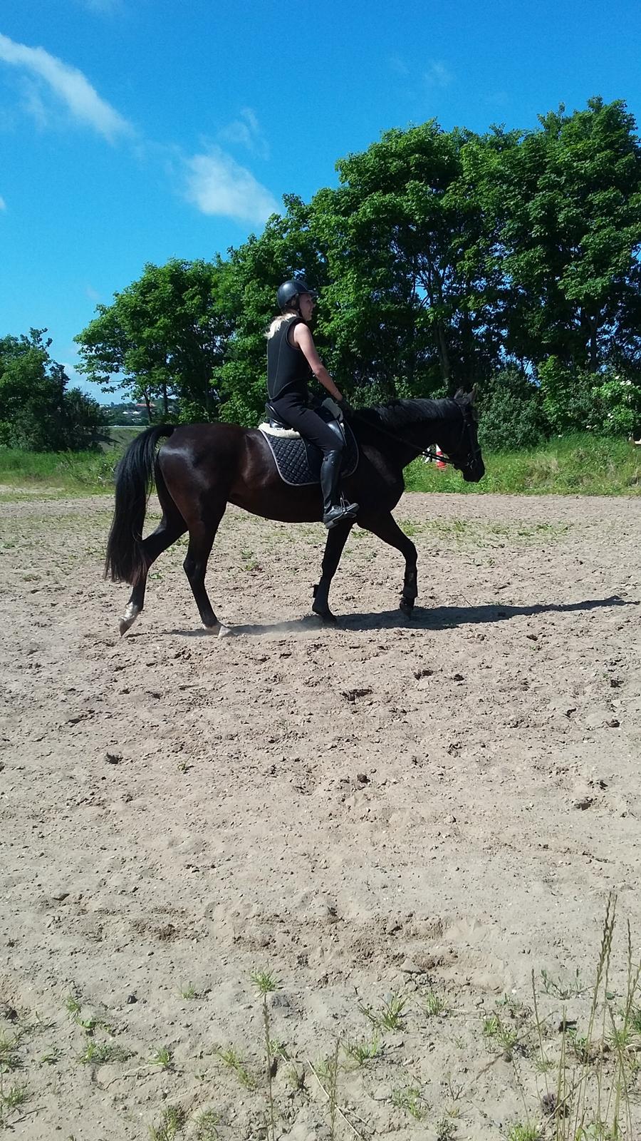 Pinto Exner's Athene billede 16