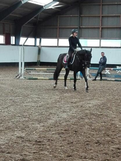 Pinto Exner's Athene billede 17