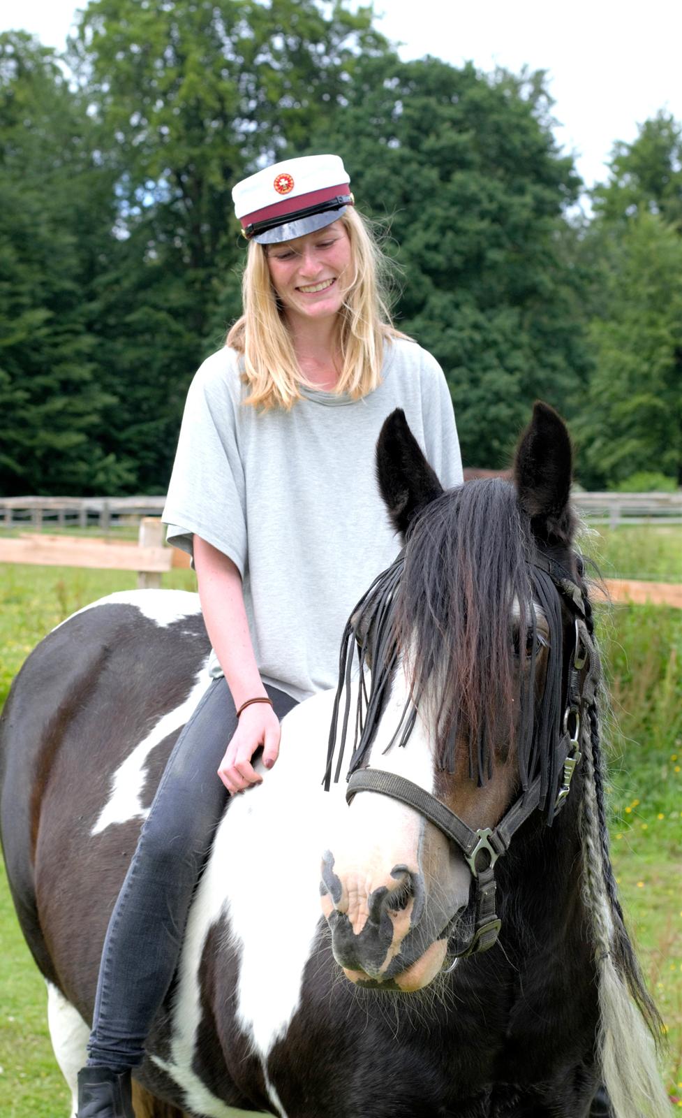 Irish Cob Shadow - Student 2017 - verdens bedste Slaske <3 billede 1