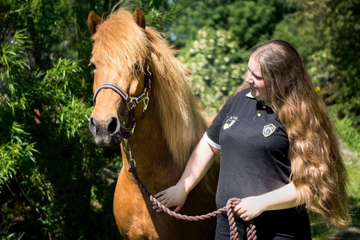 Islænder Katla fra Jannerup billede 23