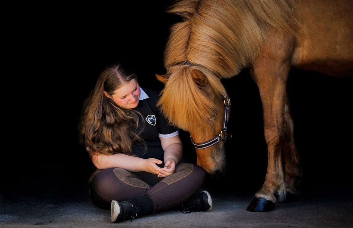 Islænder Katla fra Jannerup billede 1
