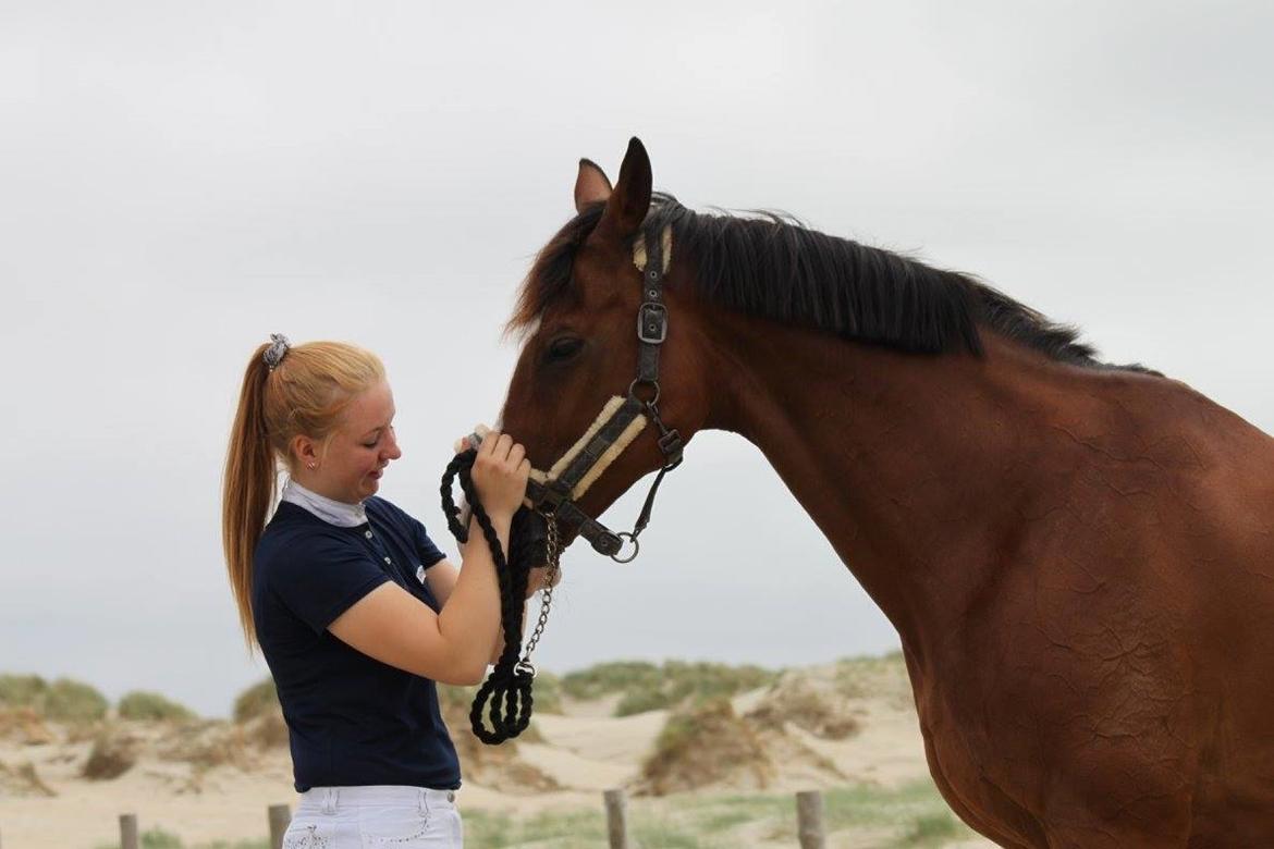 Dansk Varmblod Cornelia højbo *Himmel hest* billede 17
