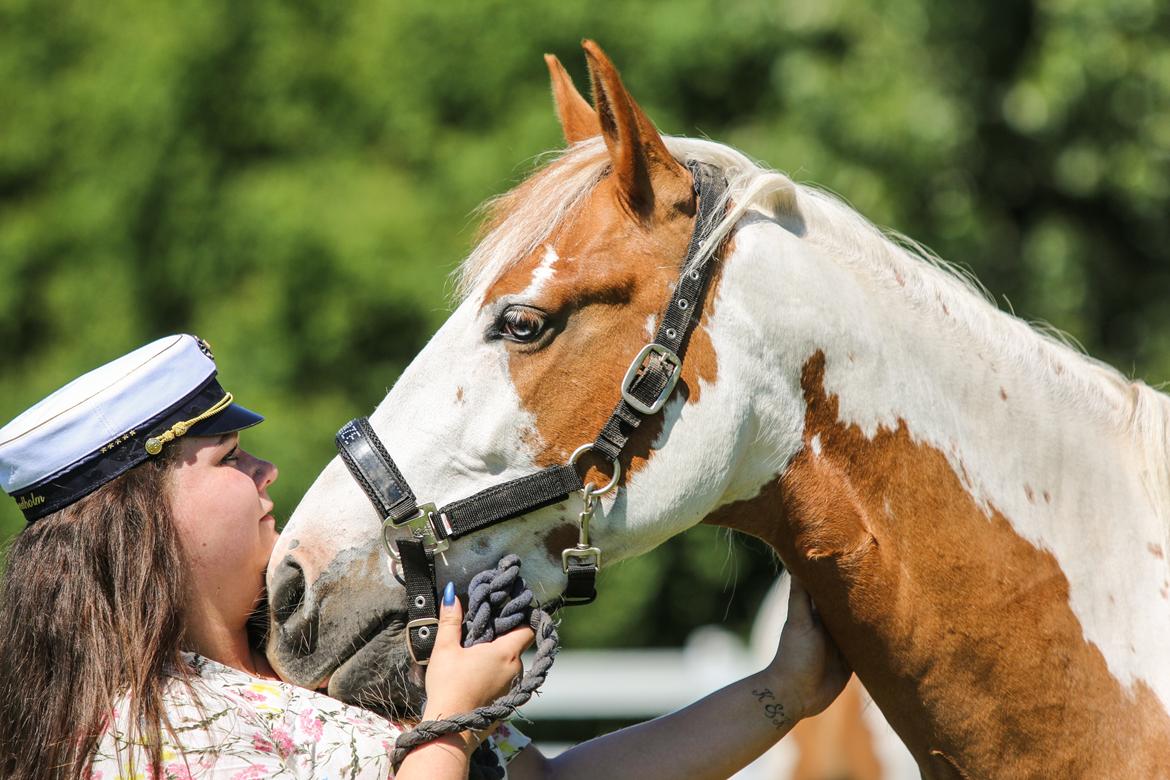 Pinto Vognbjerg's jasmin billede 1