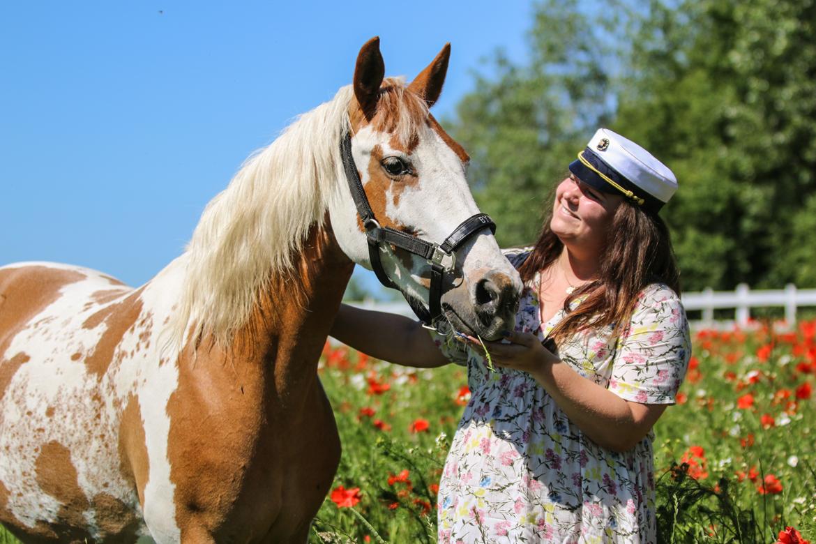 Pinto Vognbjerg's jasmin billede 9