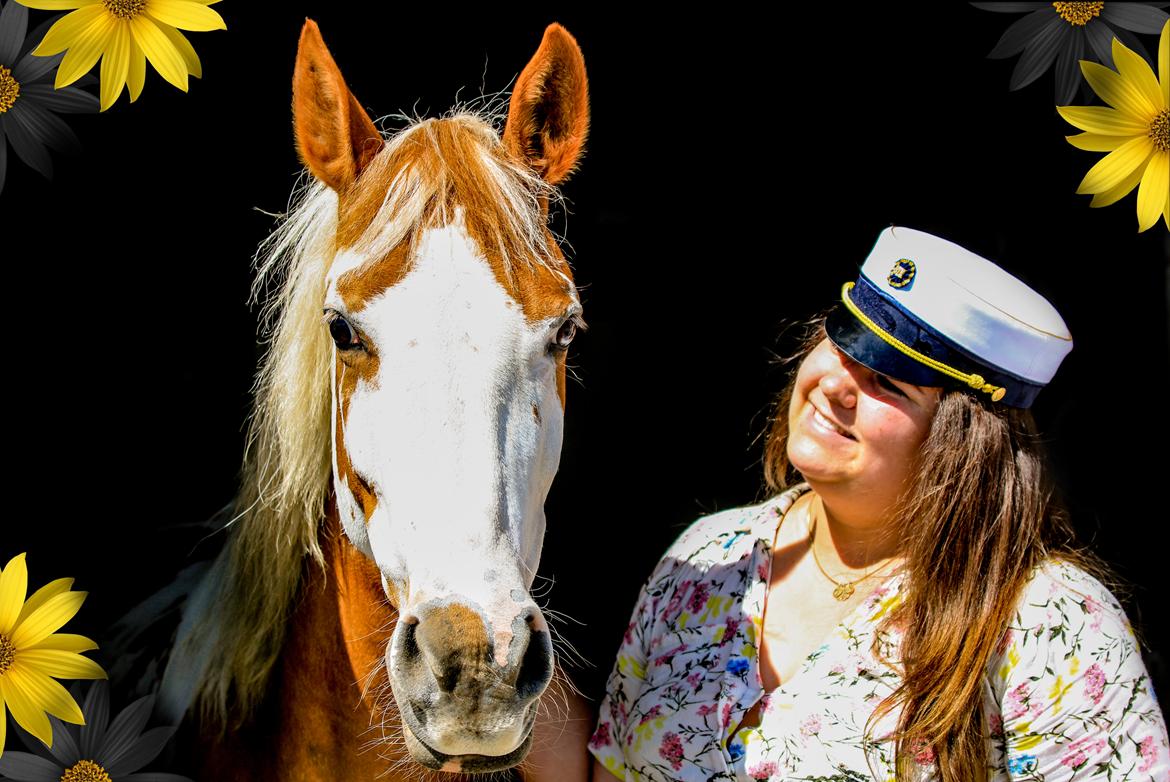 Pinto Vognbjerg's jasmin billede 10